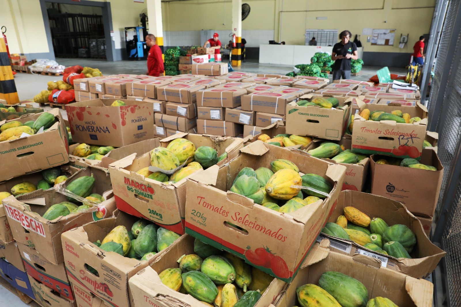 Secretaria de Educação distribui mais de 600 toneladas de alimentos para o início do ano letivo nas escolas estaduais