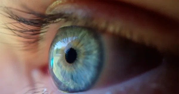 Uso incorreto do protetor solar ao redor dos olhos pode causar conjuntivite tóxica