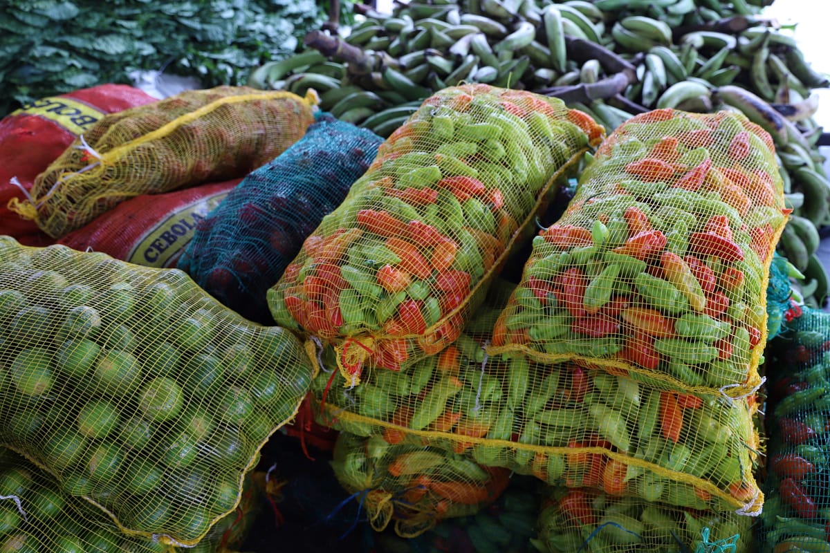 Governo do AM entrega mais de 35,6 toneladas de alimentos a instituições socioassistenciais