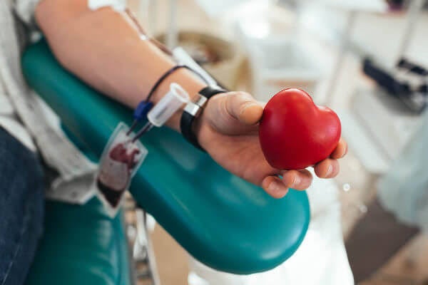 Dia Mundial do Doador de Sangue: saiba mais sobre a doação regular