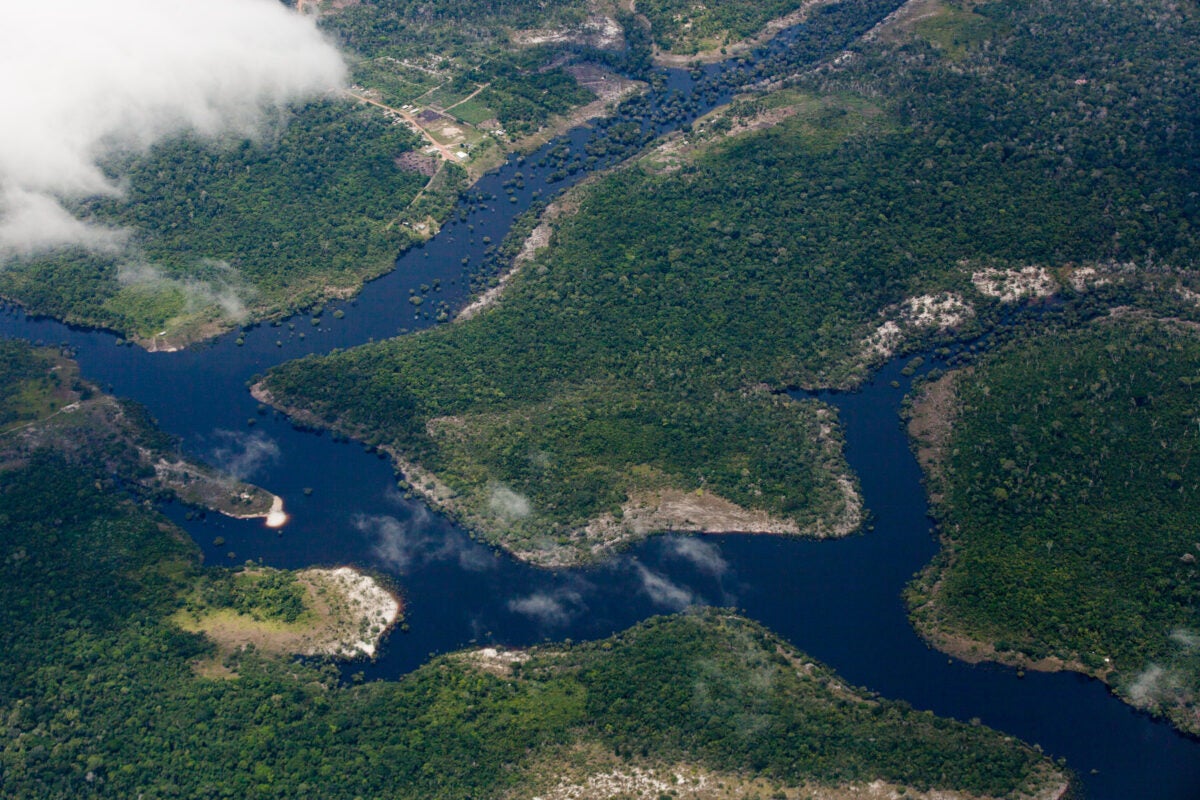 Fundo Amazônia: EUA formalizam nova doação de US$ 47 milhões ao Brasil