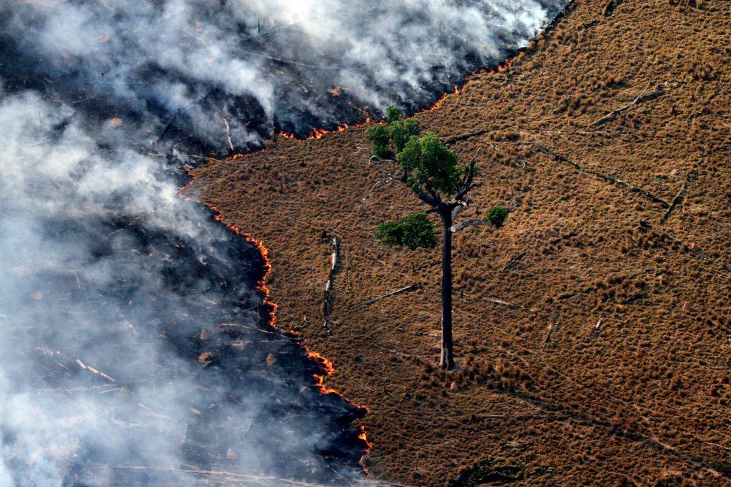 Incêndios e seca na Amazônia e no Pantanal batem marcas históricas