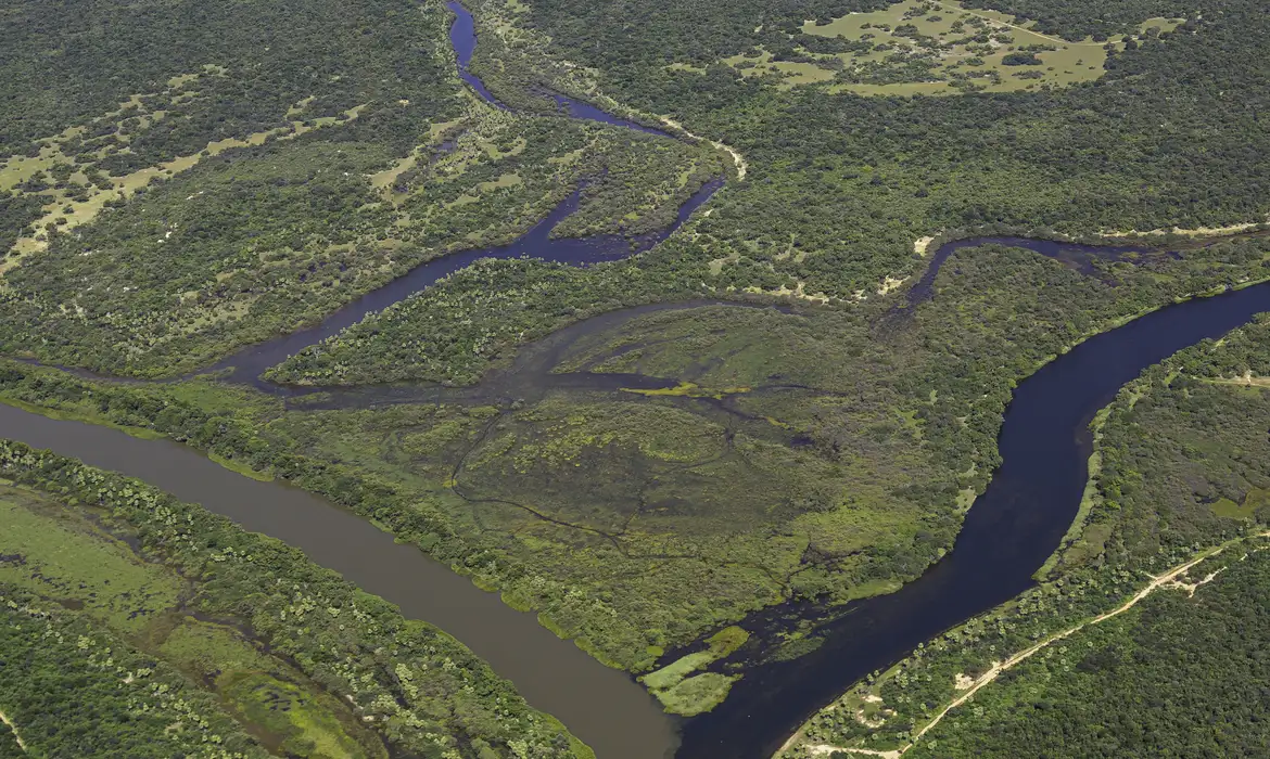 Maior parte da Mata Atlântica tem menos de 30% de vegetação nativa