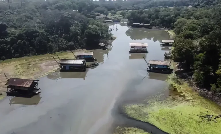 Rios na Amazônia têm risco muito alto de contaminação por mercúrio