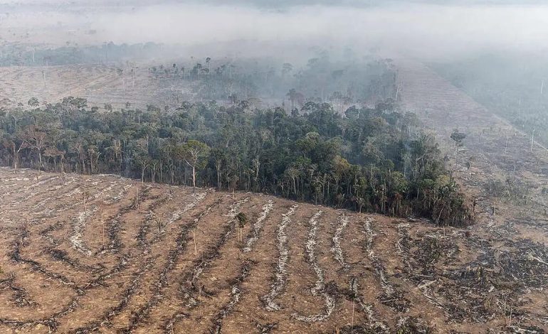 Fundo da Amazônia terá contribuição de R$ 91 milhões da Irlanda