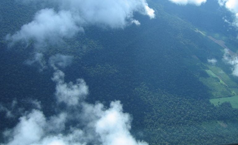 Petrobras comprará R$ 450 milhões em créditos de carbono na Amazônia