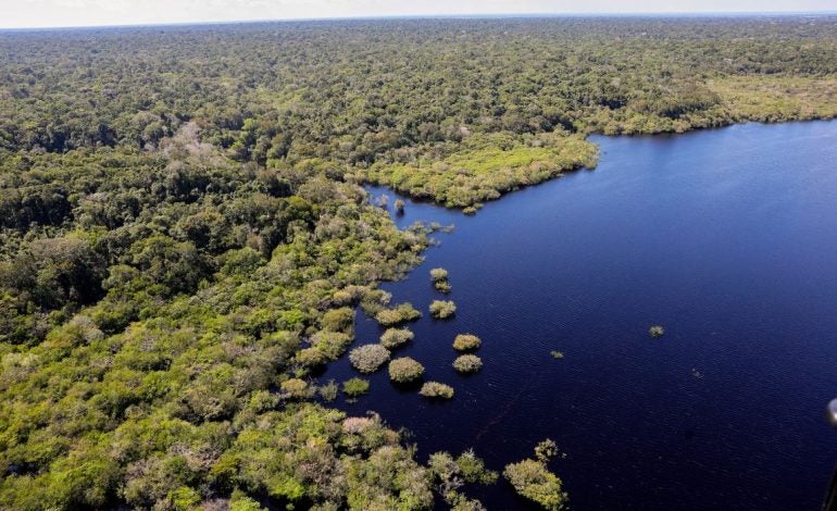Fundo Amazônia bate recorde ao destinar mais de R$ 1 bilhão em 2025
