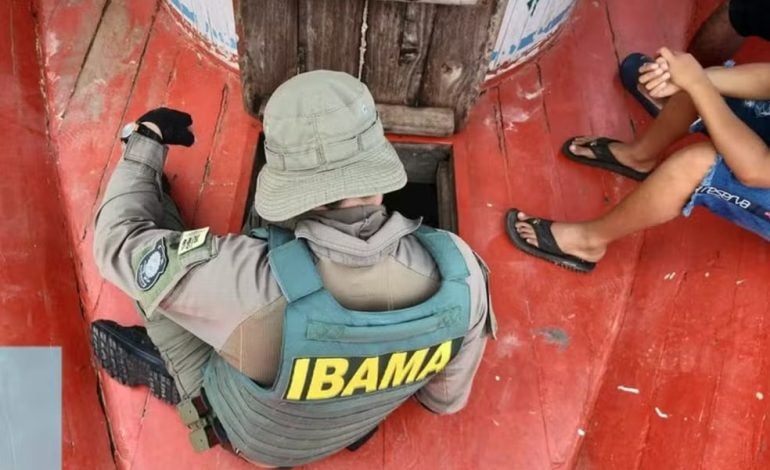 Ibama apreende R$ 8,7 milhões em bens durante operação no AM